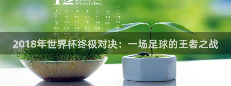 2026世界杯日期:2018年世界杯终极对决:一场足球的王者之战