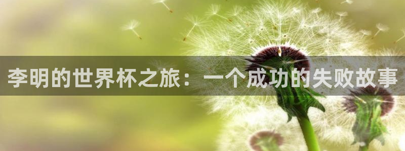 世界杯预选赛亚洲区积分榜:李明的世界杯之旅:一个成功的失败故事