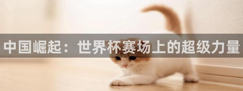 2026世界杯直播免费观看：中国崛起：世界杯赛场上的超级力量