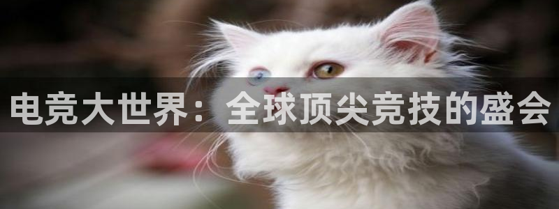 欧洲区世界杯预选赛：电竞大世界：全球顶尖竞技的盛会