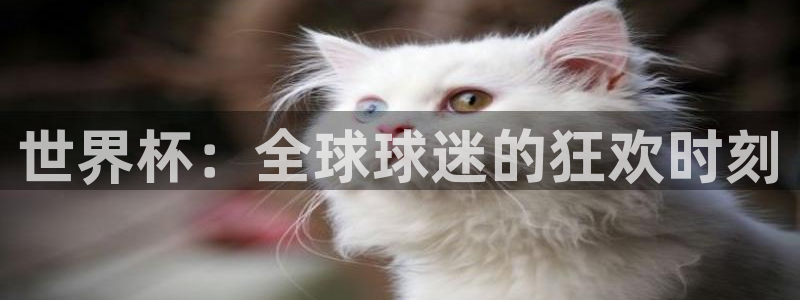 世界杯欧洲区世预赛赛程：世界杯：全球球迷的狂欢时刻