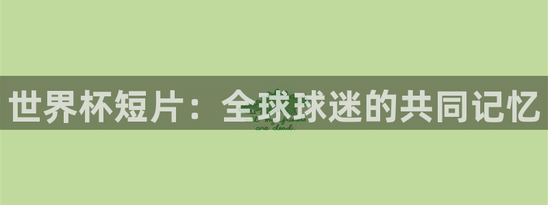2026男足世界杯：世界杯短片：全球球迷的共同记忆