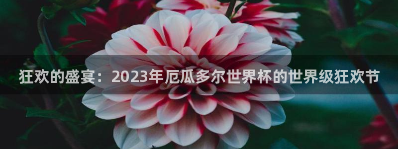 中国 世界杯：狂欢的盛宴：2023年厄瓜多尔世界杯的世界级狂欢节