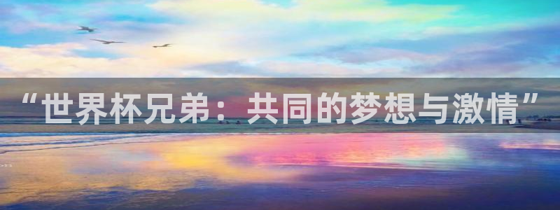 2026世界杯：“世界杯兄弟：共同的梦想与激情”