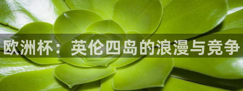 2026年世界杯时间表：欧洲杯：英伦四岛的浪漫与竞争