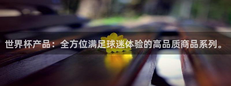 世界杯足球：世界杯产品：全方位满足球迷体验的高品质商品系列。