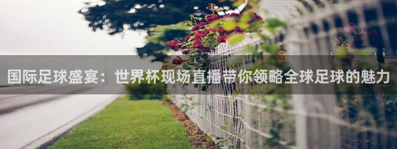 足球世预赛：国际足球盛宴：世界杯现场直播带你领略全球足球的魅力