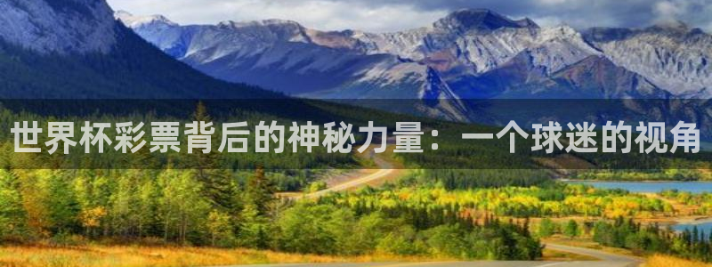 世界杯对阵表:世界杯彩票背后的神秘力量:一个球迷的视角