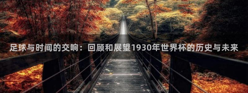2006年世界杯:足球与时间的交响:回顾和展望1930年世界杯的历史与未来
